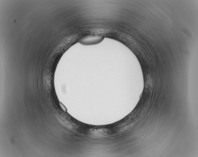 X0000110740452200907271105