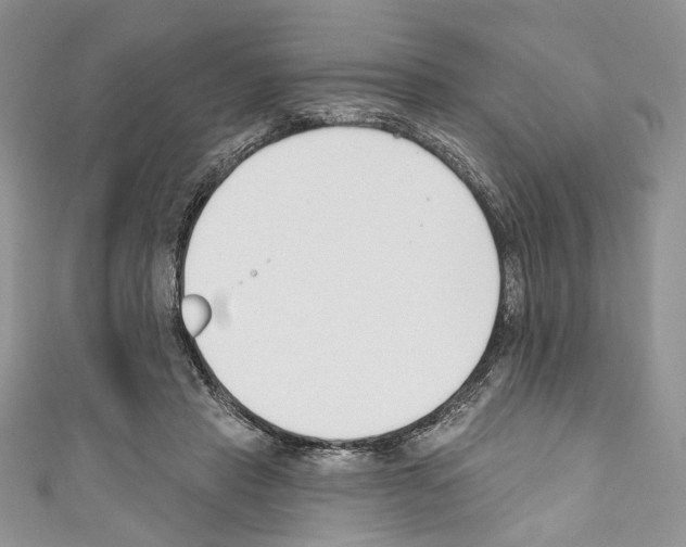 X0000110740453200907271105
