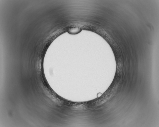 X0000110740454200907271105