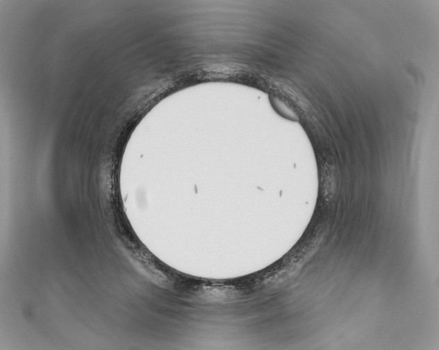 X0000110740455200907271105