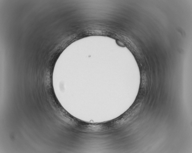 X0000110740457200907271105
