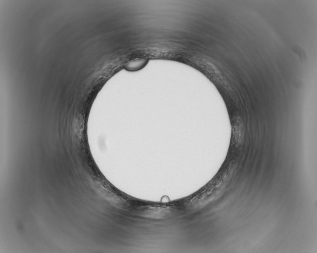 X0000110740458200907271105