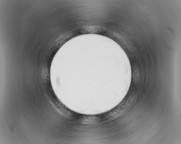 X0000110740459200907271105