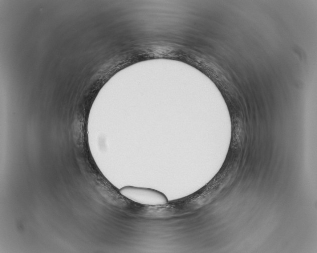 X0000110740461200907271105