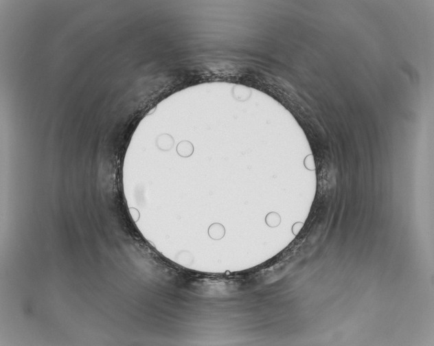 X0000110740464200907271105
