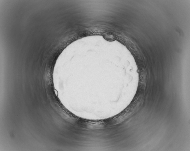 X0000110740465200907271105