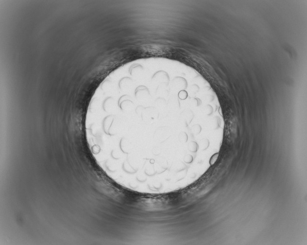 X0000110740466200907271105