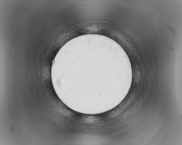 X0000110740467200907271105