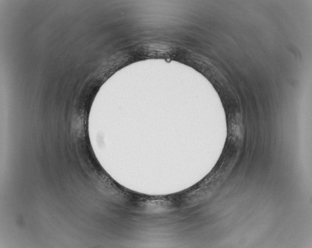 X0000110740468200907271105