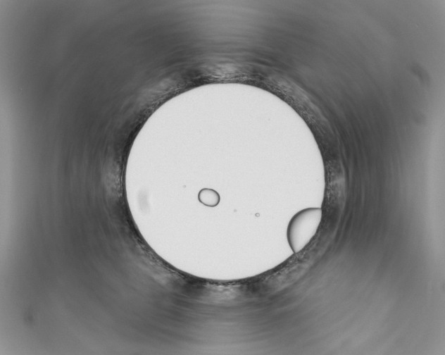 X0000110740469200907271105