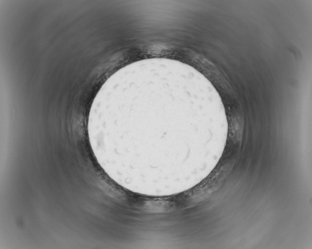 X0000110740470200907271105