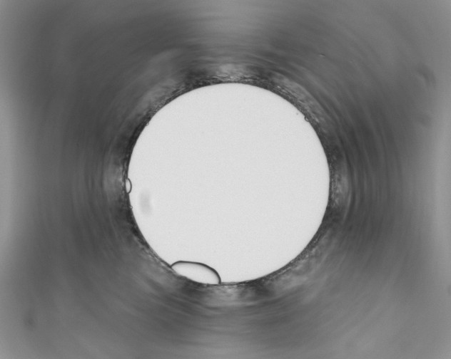 X0000110740473200907271105