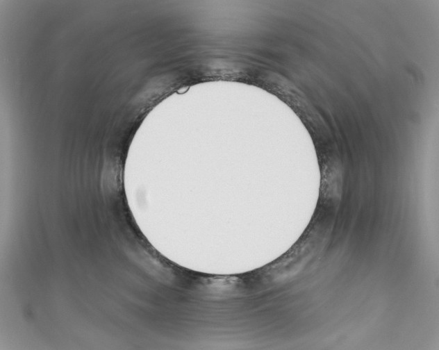 X0000110740474200907271105