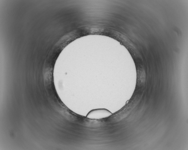 X0000110740475200907271105