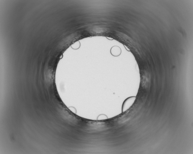 X0000110740476200907271105
