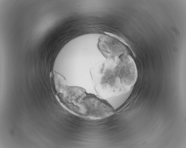 X0000110740477200907271105