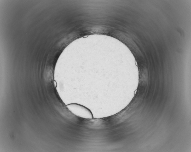 X0000110740478200907271105