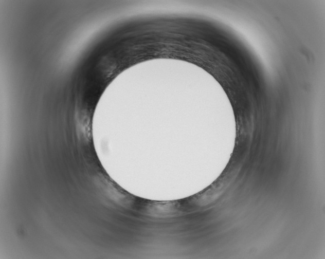 X0000110740479200907271105