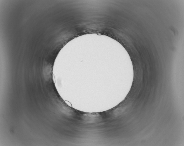 X0000110740480200907271105
