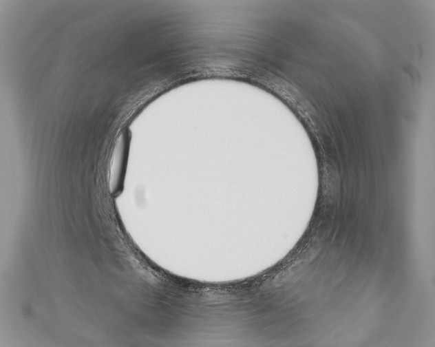 X0000110740481200907271104