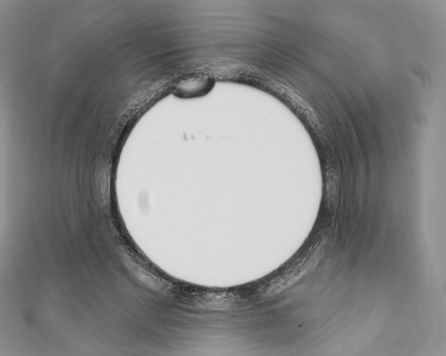 X0000110740493200907271104