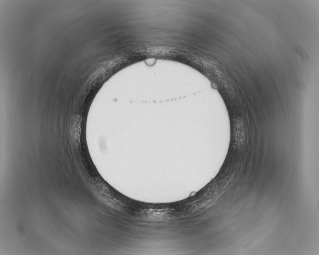 X0000110740495200907271104