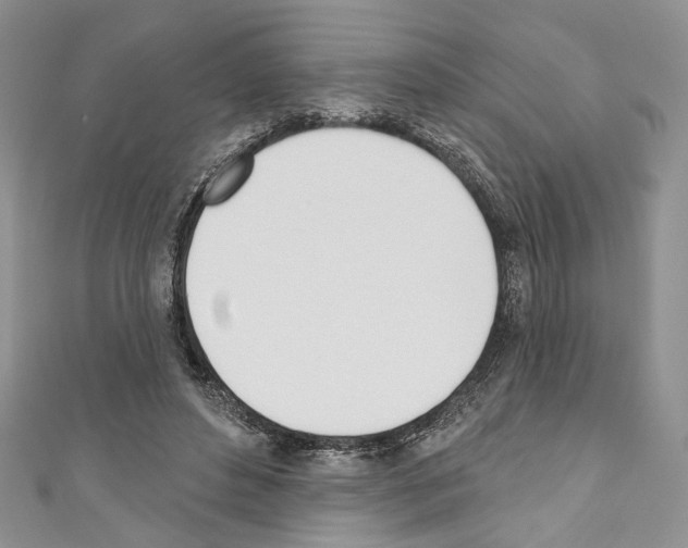 X0000110740496200907271104