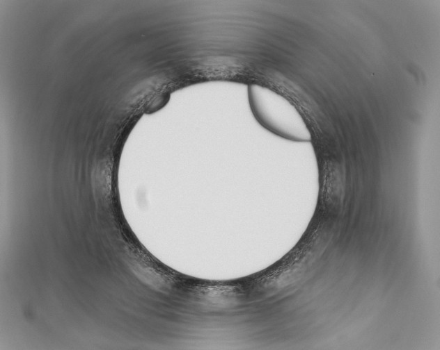 X0000110740501200907271104