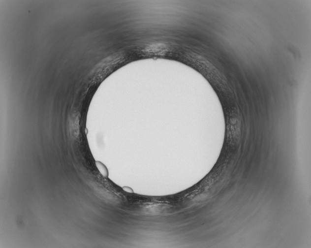 X0000110740504200907271104