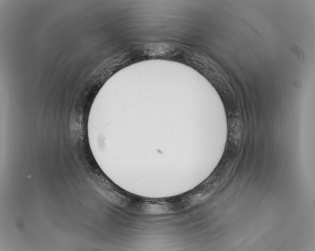 X0000110740510200907271104