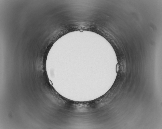 X0000110740512200907271104