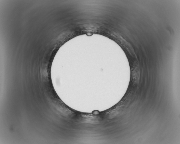 X0000110740516200907271104