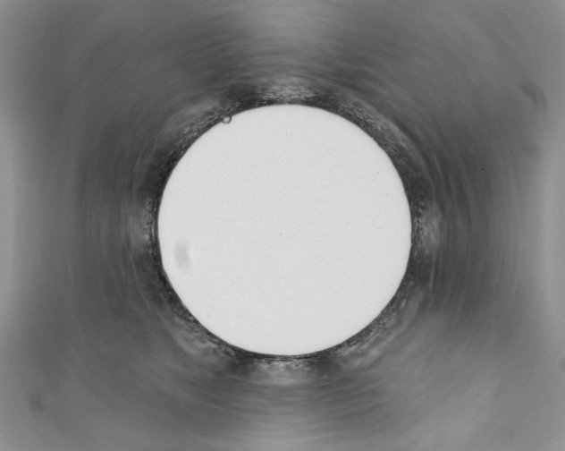 X0000110740517200907271104