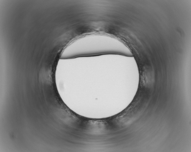 X0000110740520200907271104
