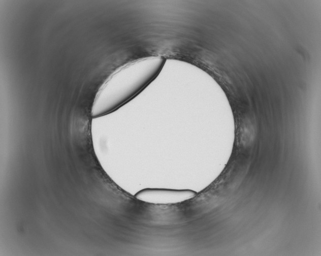 X0000110740521200907271104