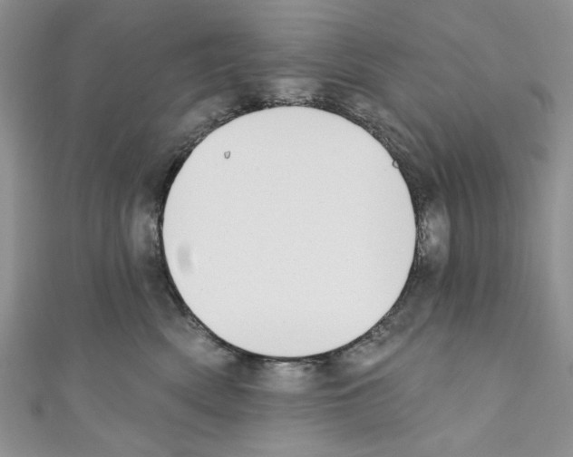 X0000110740522200907271104