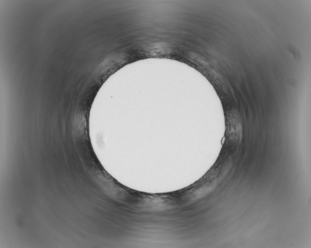 X0000110740523200907271104