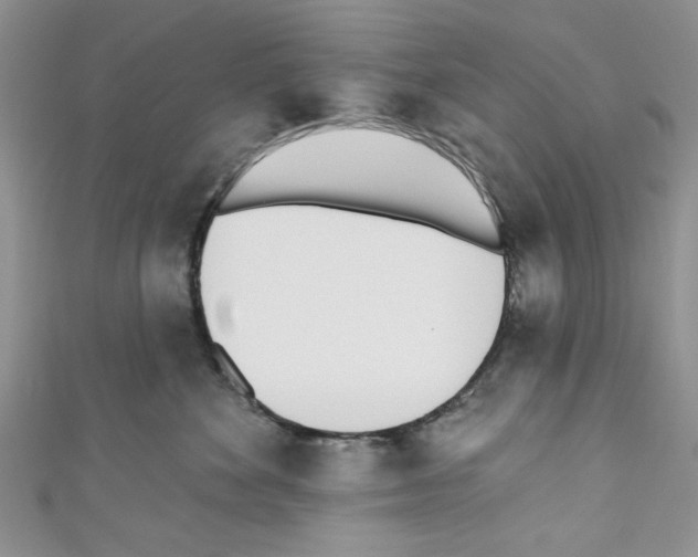 X0000110740524200907271104