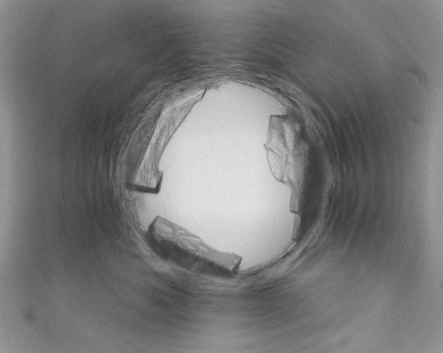 X0000110740525200907271104