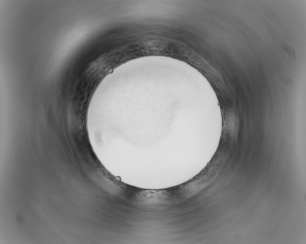 X0000110740526200907271104