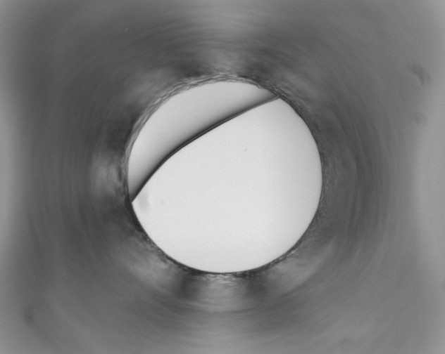 X0000110740528200907271104