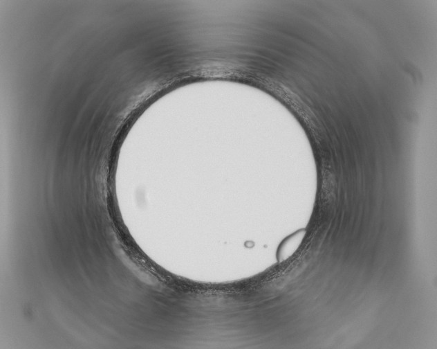X0000110740530200907271103