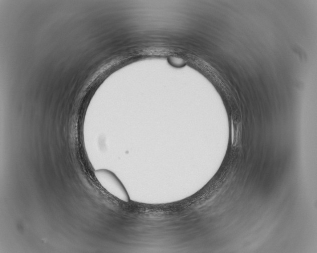 X0000110740531200907271103