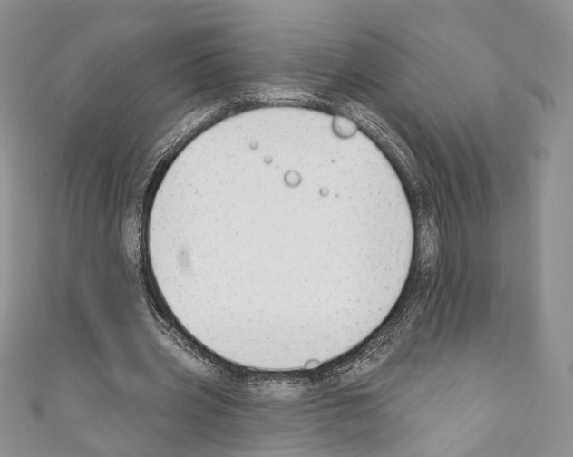 X0000110740533200907271103