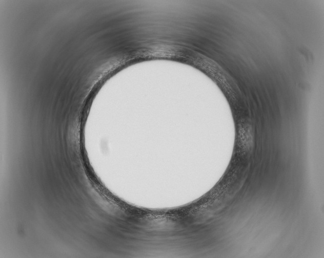 X0000110740534200907271103