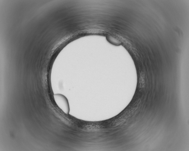 X0000110740535200907271103