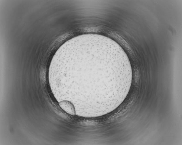 X0000110740537200907271103