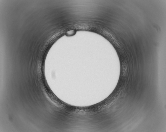 X0000110740538200907271103