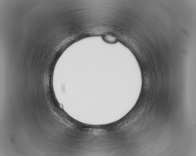 X0000110740539200907271103