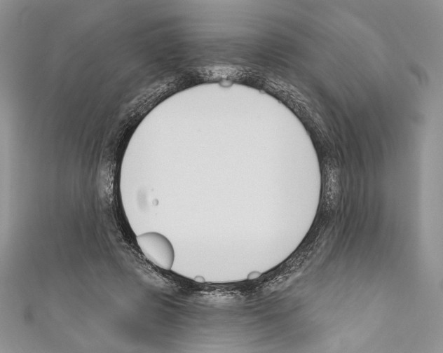 X0000110740545200907271103